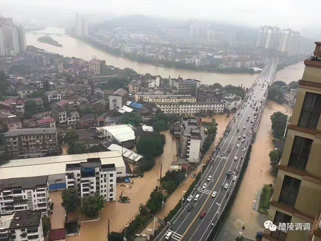 溫情公告：洪災來臨這是一張救命帖
